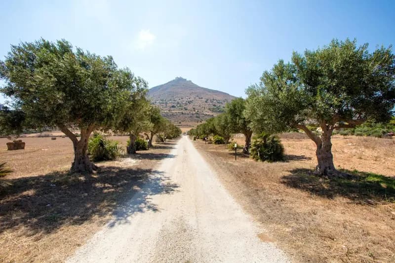 Il Borgo Del Principino