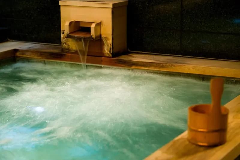 Ochanomizu Hotel Shoryukan