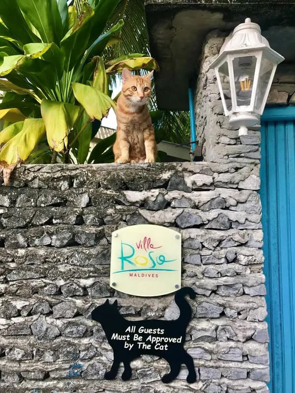 Villa Rosa Maldives