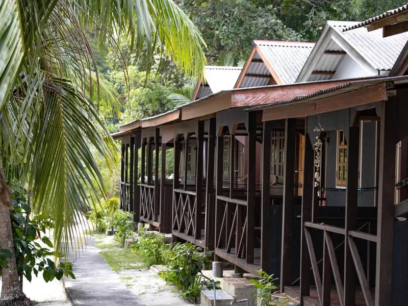 Bushman Tioman