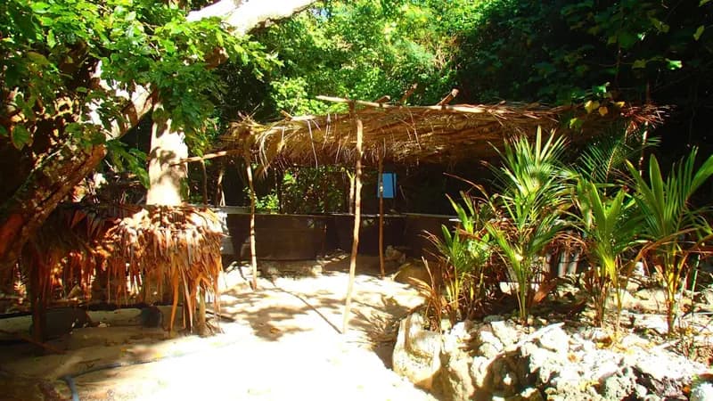 Tranquility Island Eco Dive Resort
