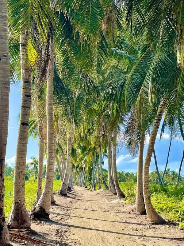 Thoddoo Retreat Grand