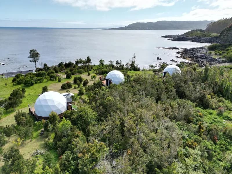 Huiro Lodge Domos y Avistamiento de Fauna Marina