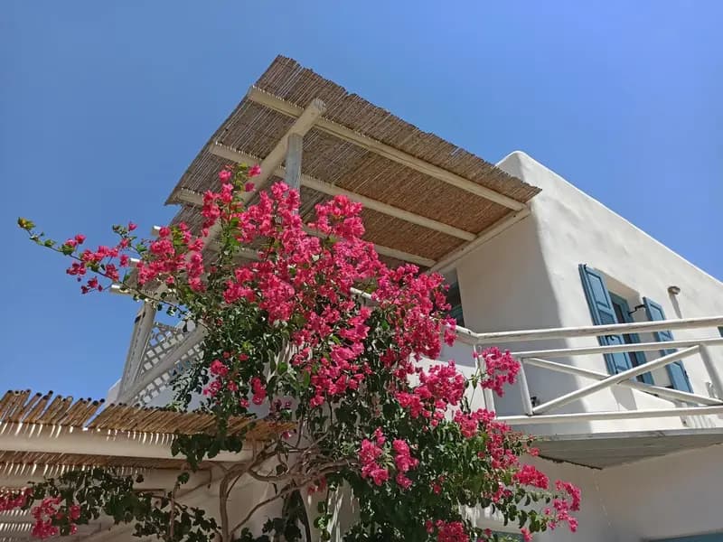 Kykladonisia Amorgos