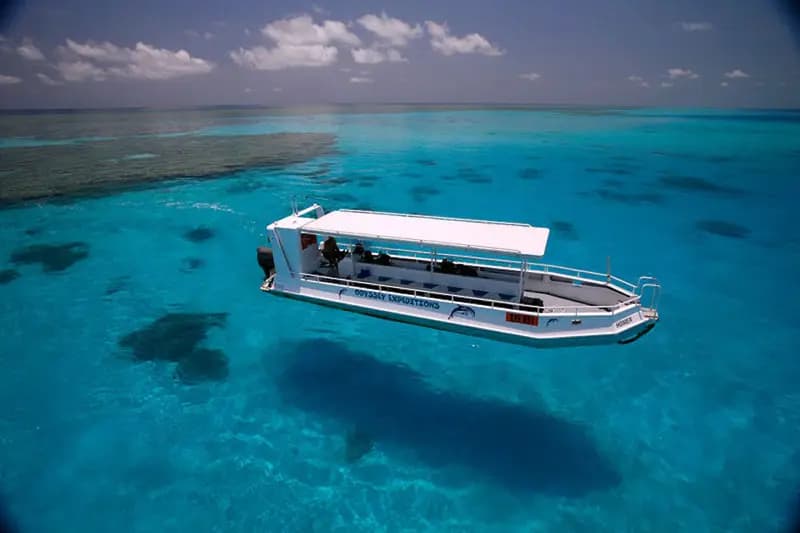 Odyssey Dive