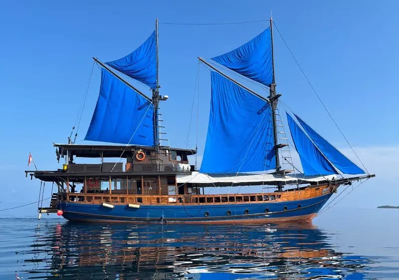 Moana