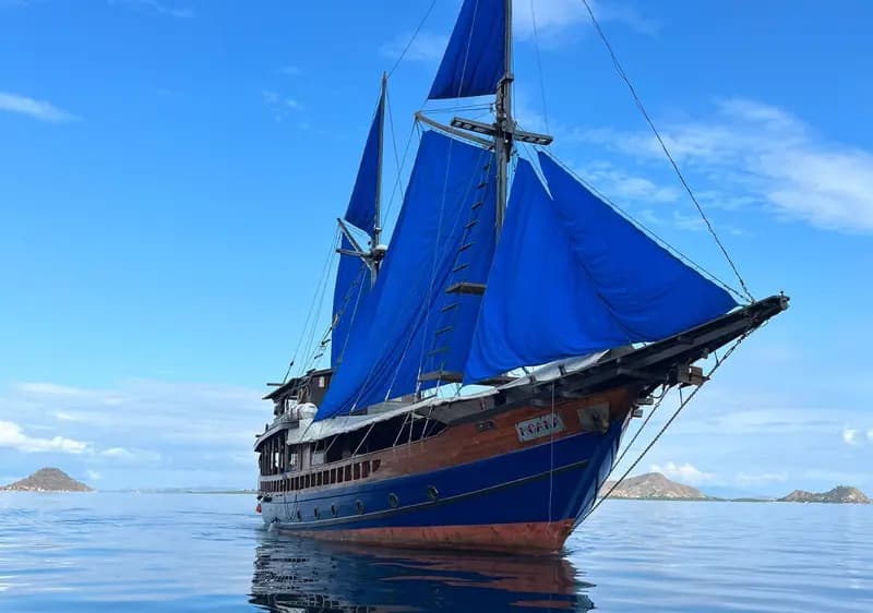 Moana