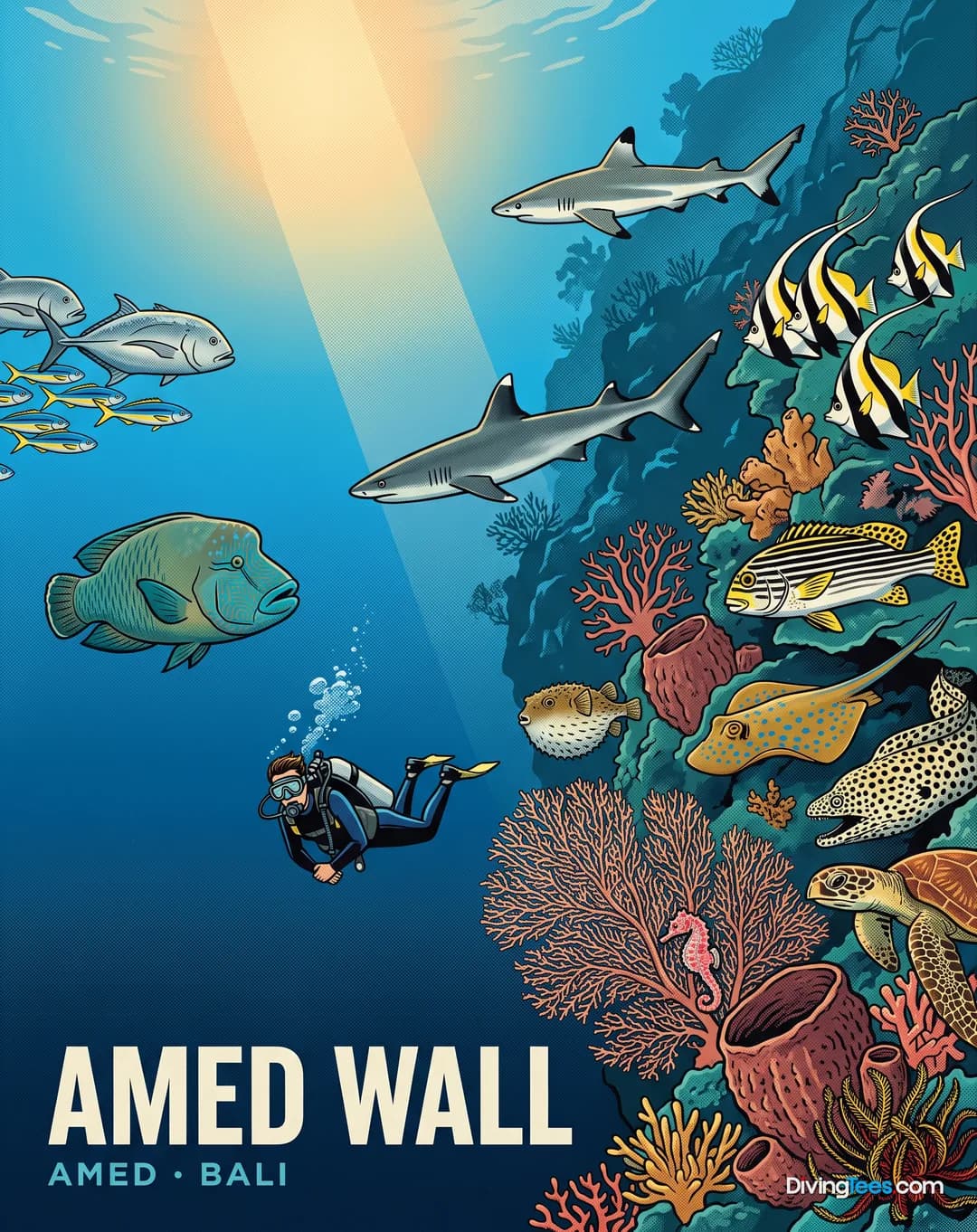 Amed Wall