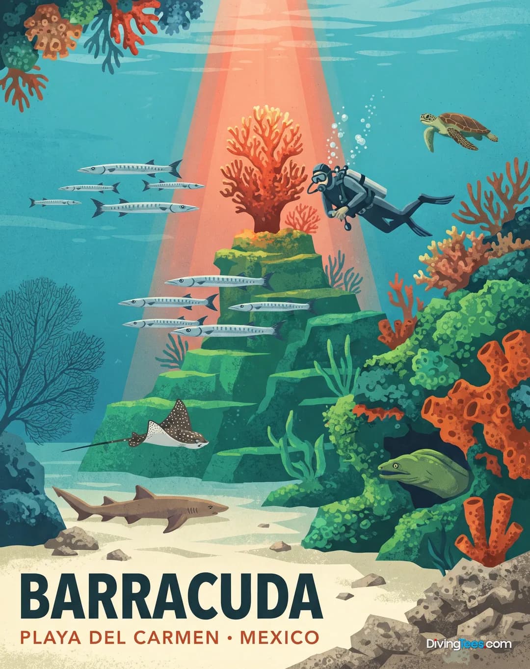 Barracuda