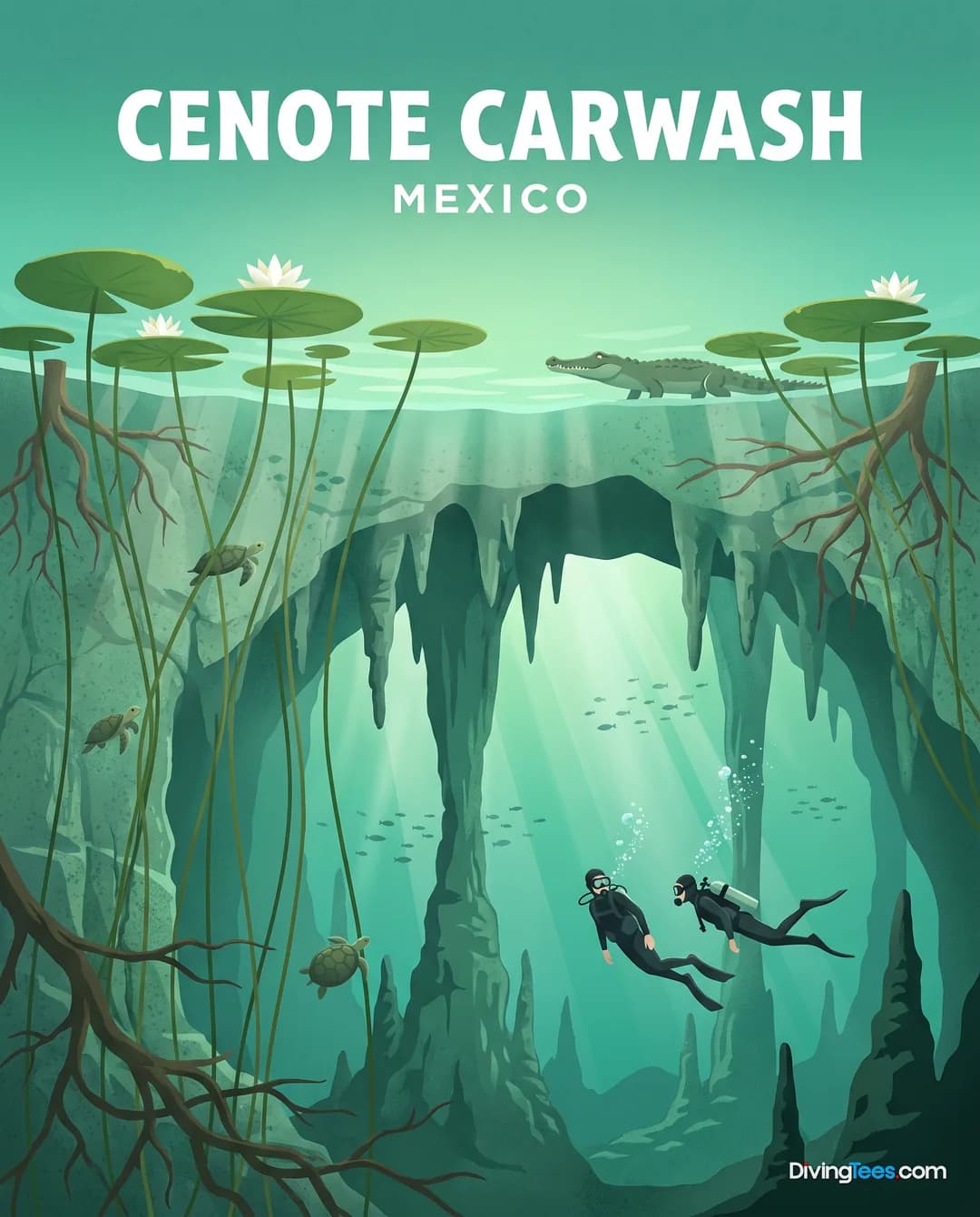 Cenote Car Wash