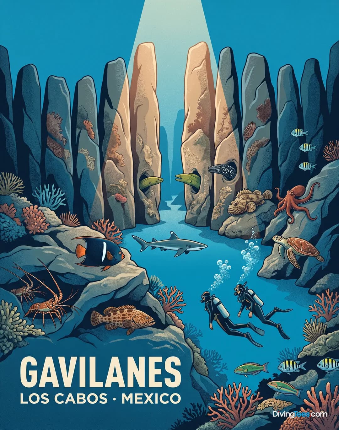 Gavilanes
