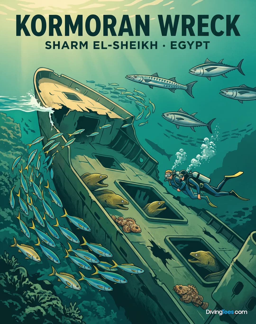 Kormoran Wreck