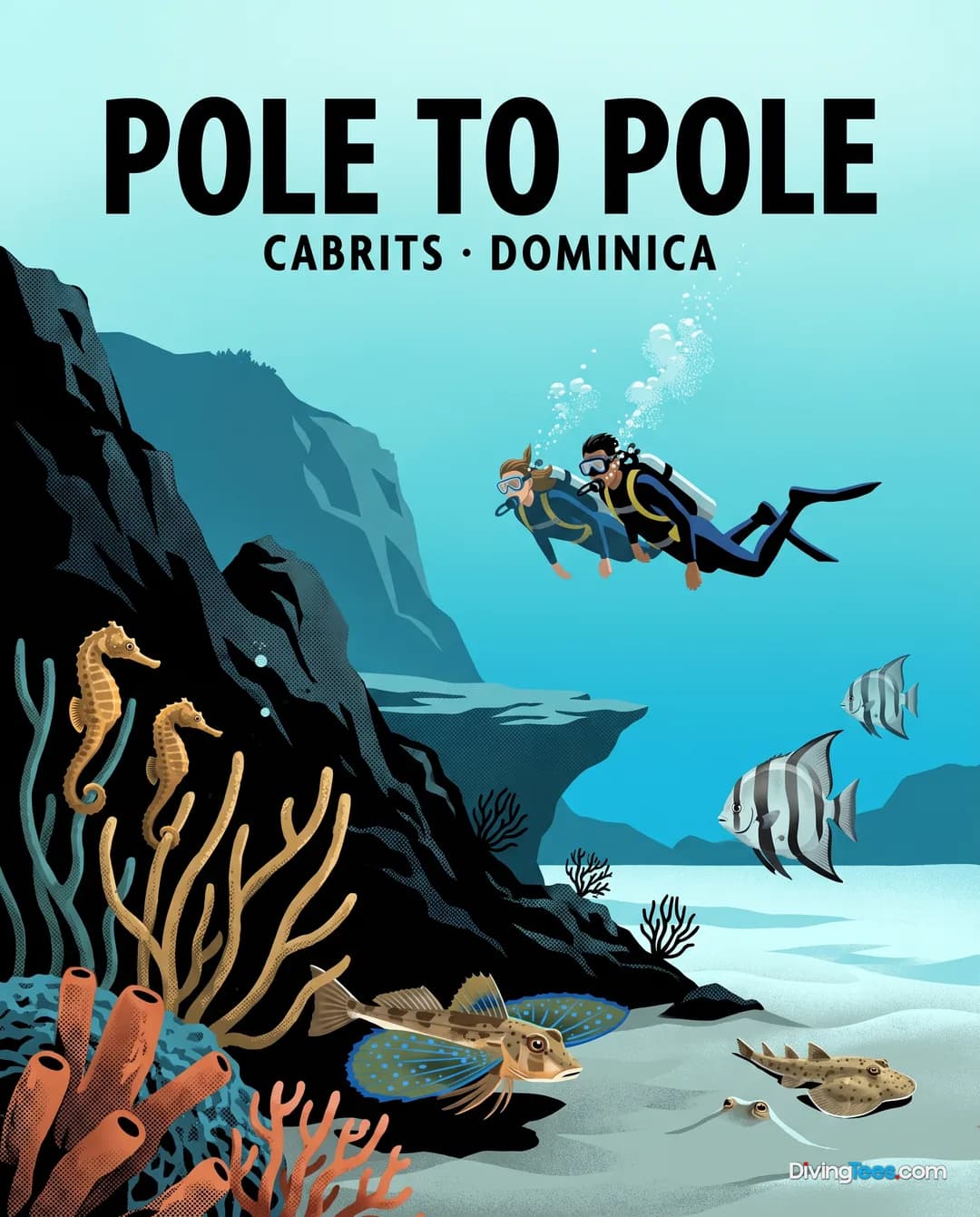 Pole to Pole