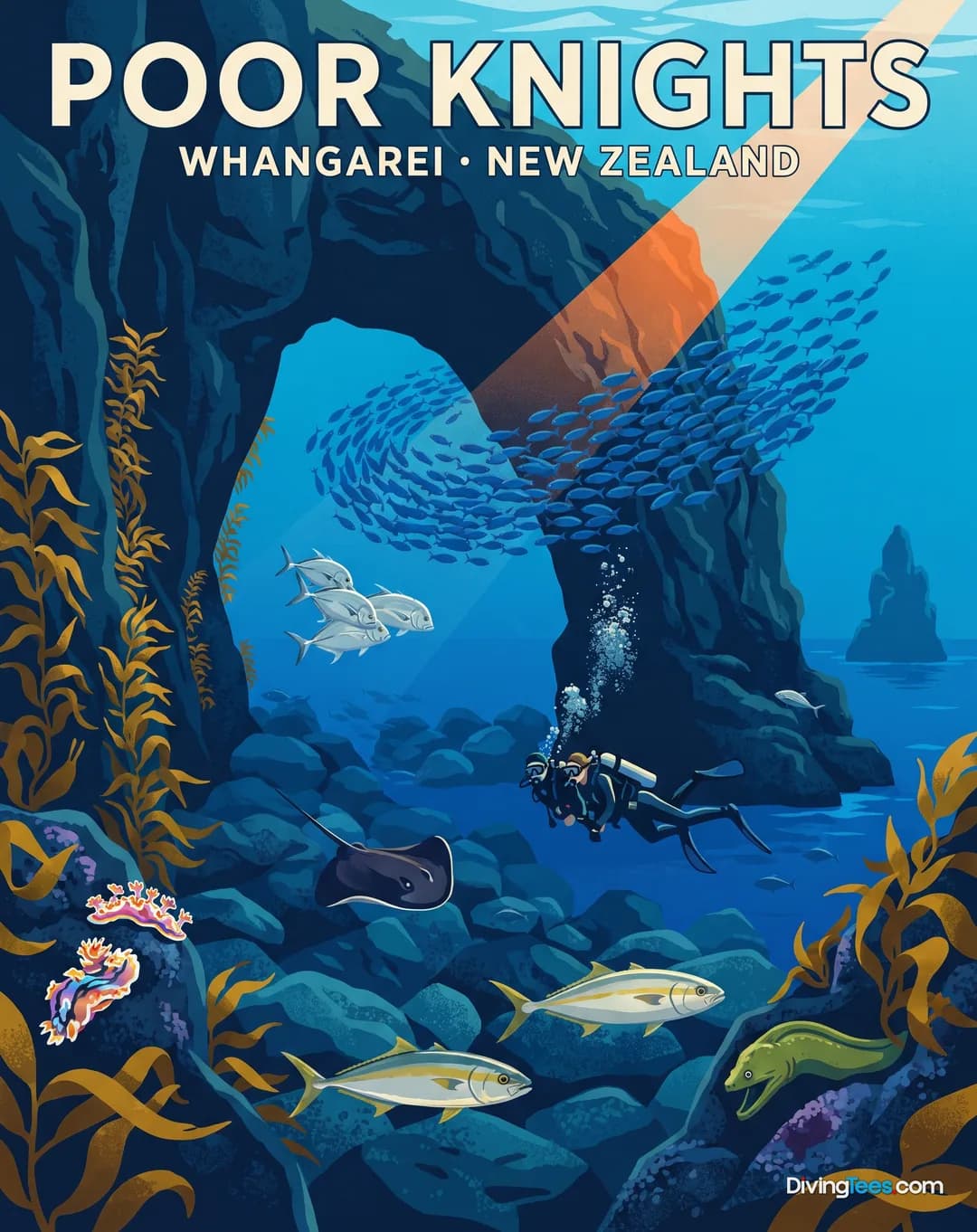 Poor Knights Islands