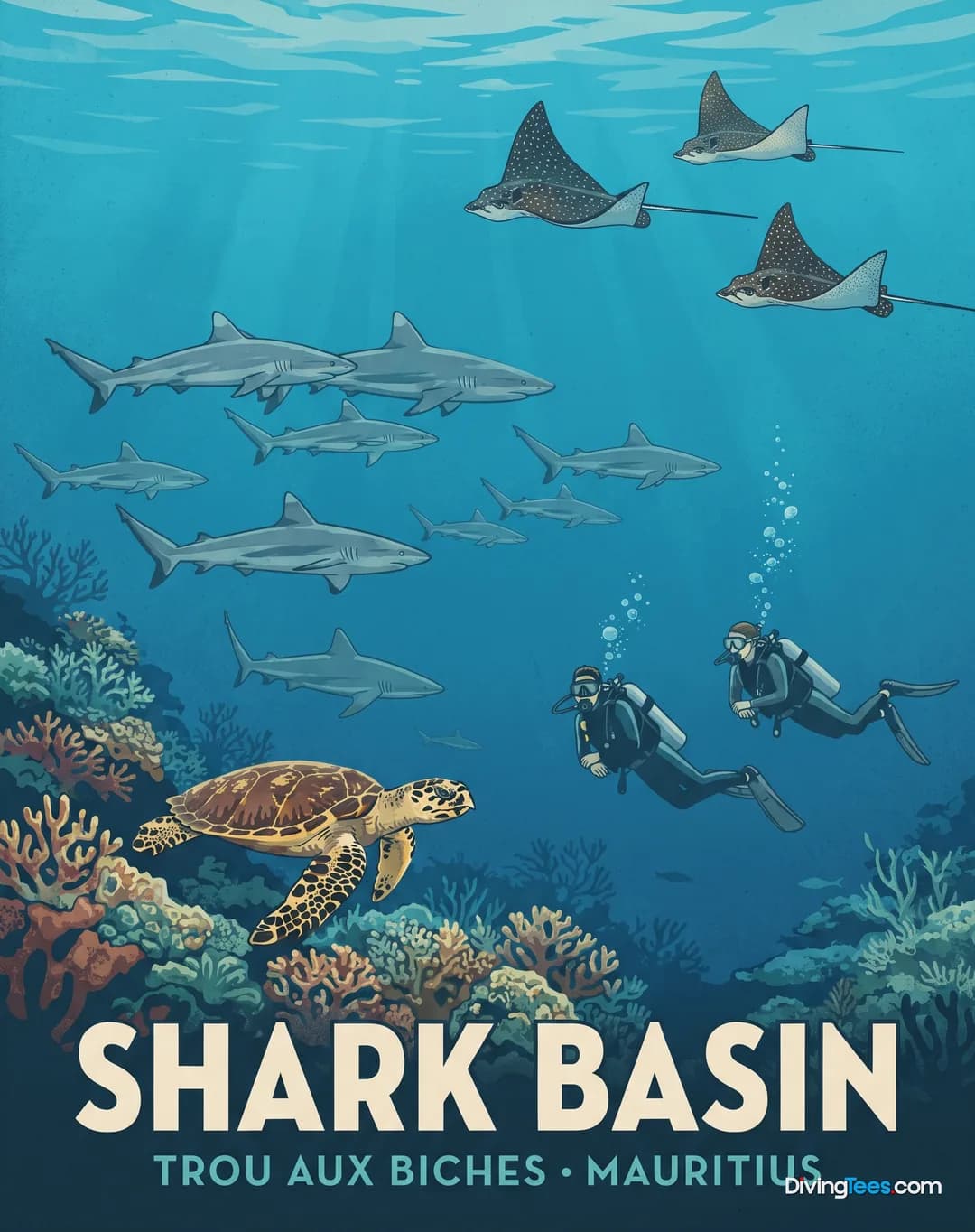 Shark Basin