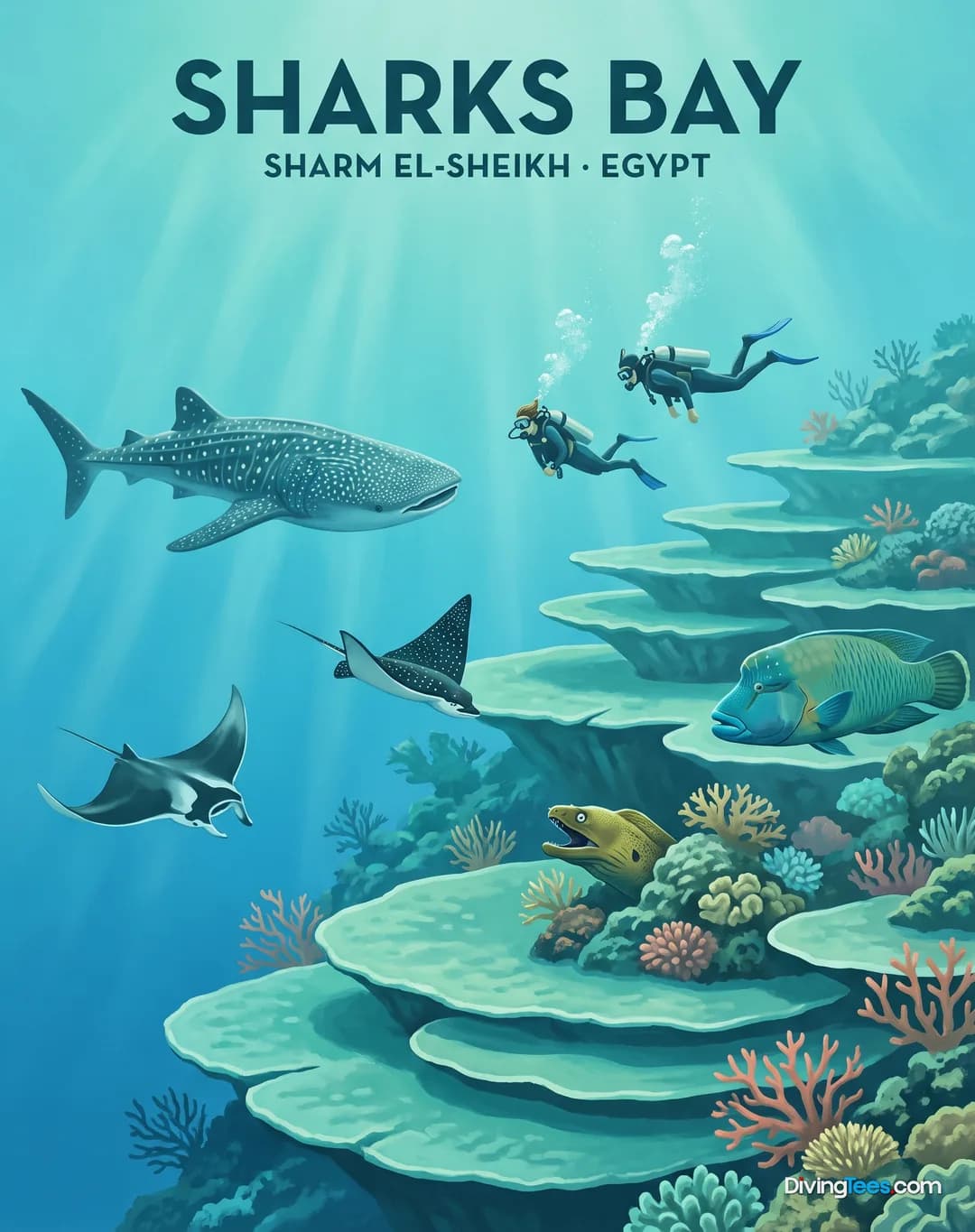 Sharks Bay