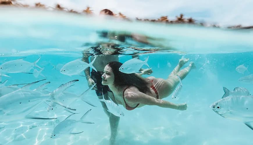 Buceo Nomade