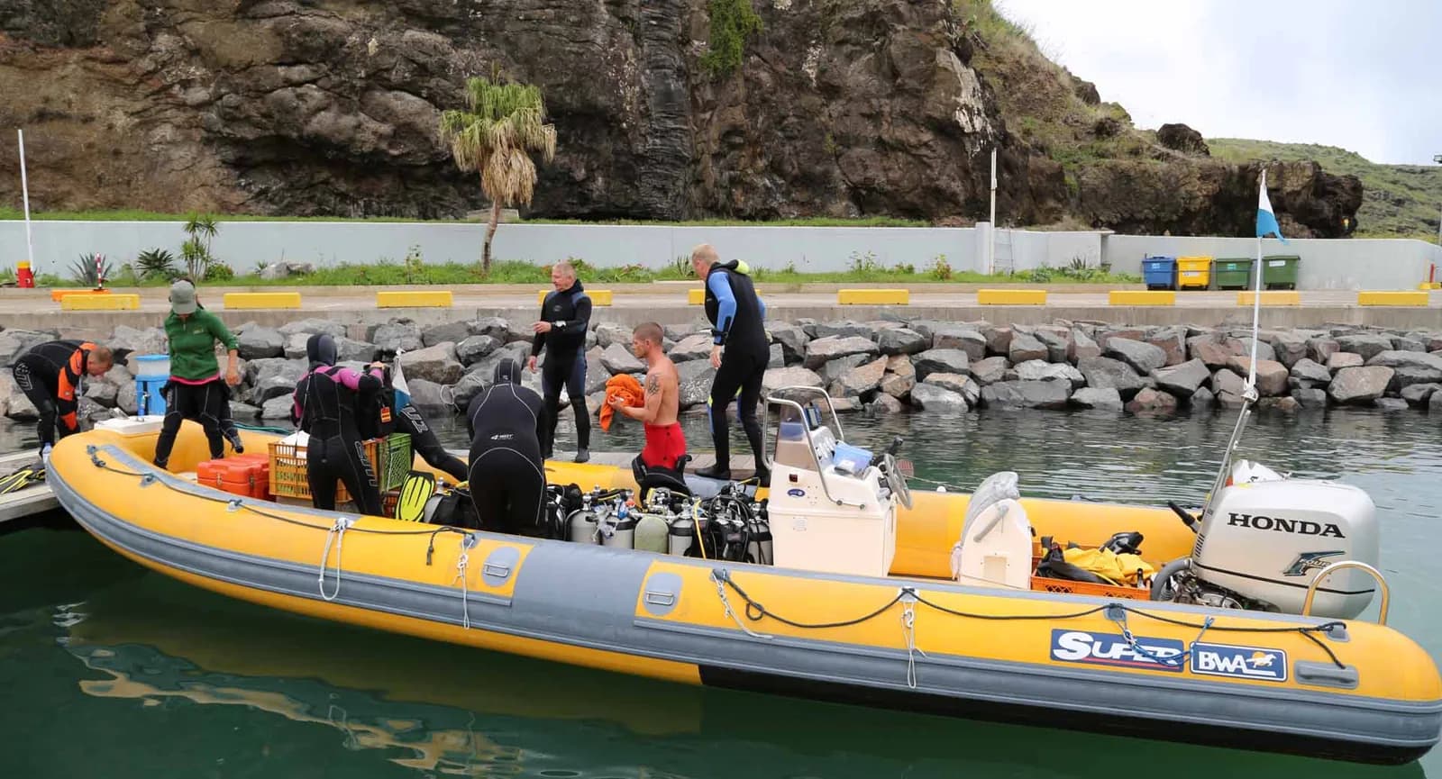Wahoo Diving