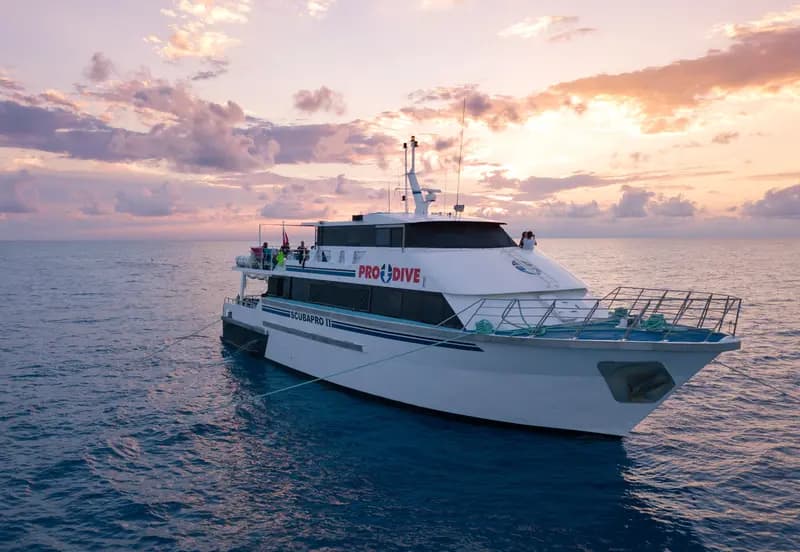 Pro Dive Cairns