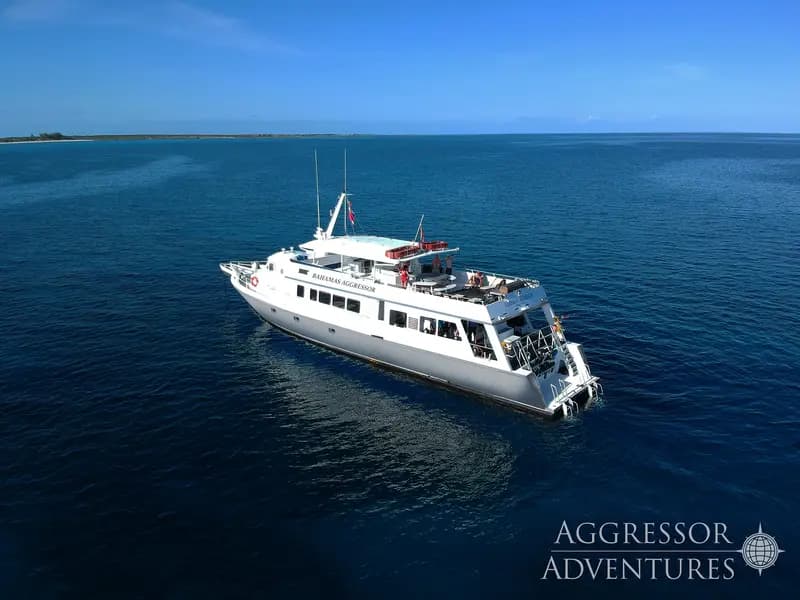 Belize Aggressor V (Bahamas Aggressor)