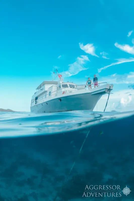Belize Aggressor V (Bahamas Aggressor)