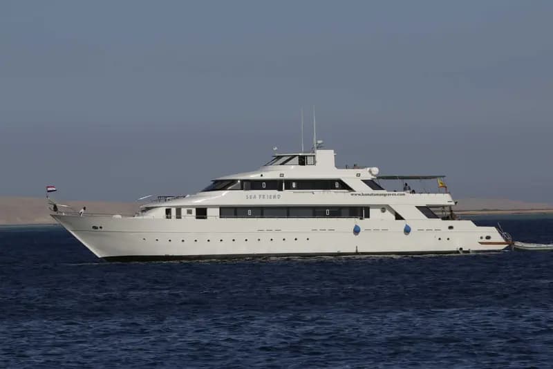 Sea Friend