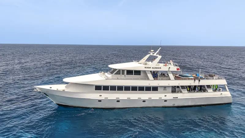 Roatan Aggressor