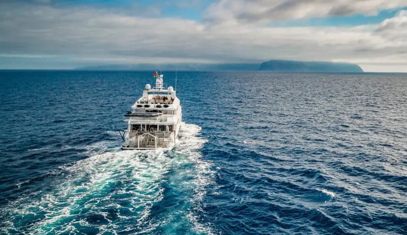 Nautilus Belle Amie