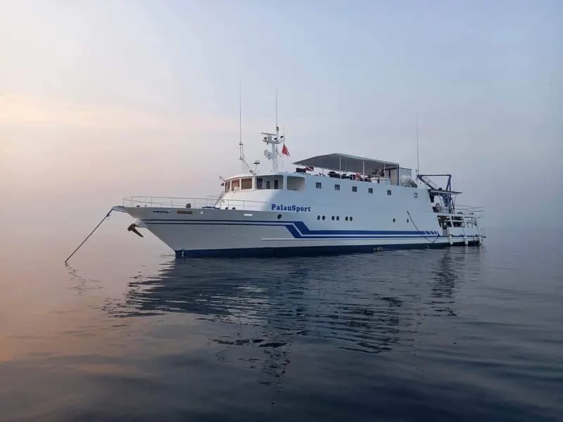 Palau Sport