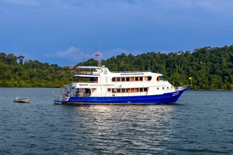 Manta Queen 8